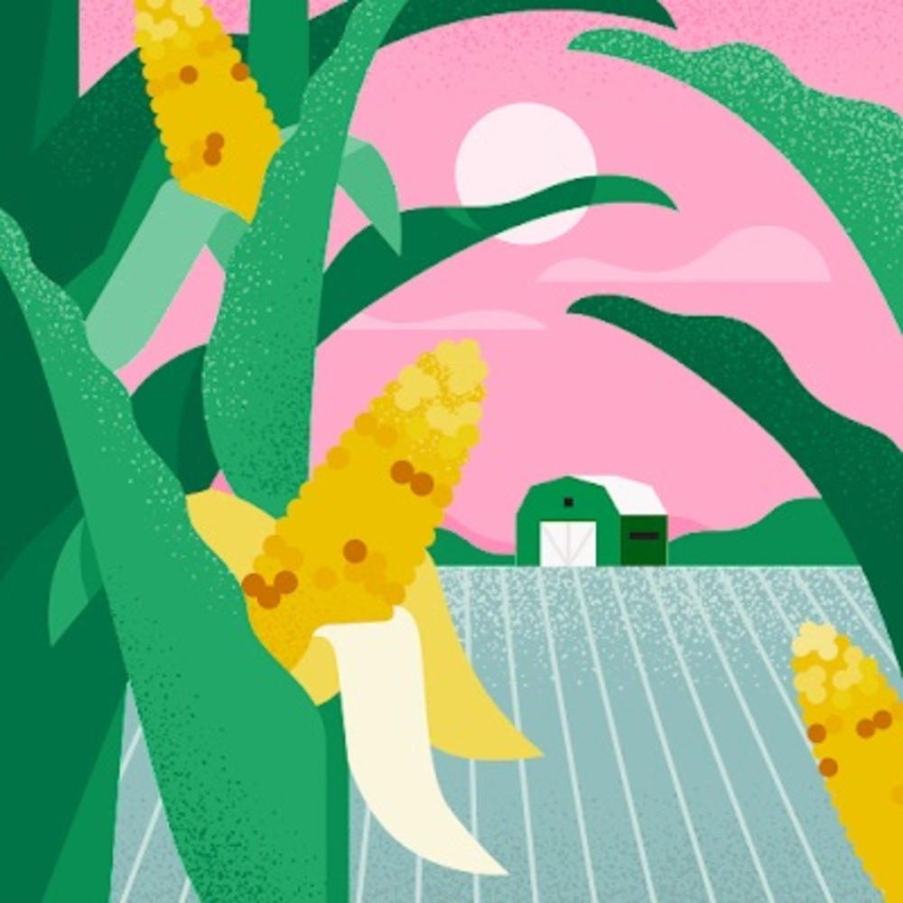 Meet your Posher, Maggie